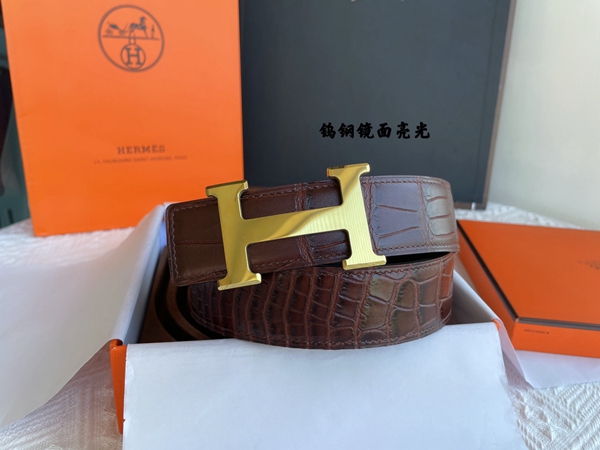 エルメスベルト内部構造